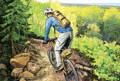 illustration of a man wearing a high falls day pack biking down a path through the woods
