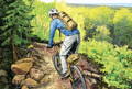 illustration of a man wearing a high falls day pack biking down a path through the woods