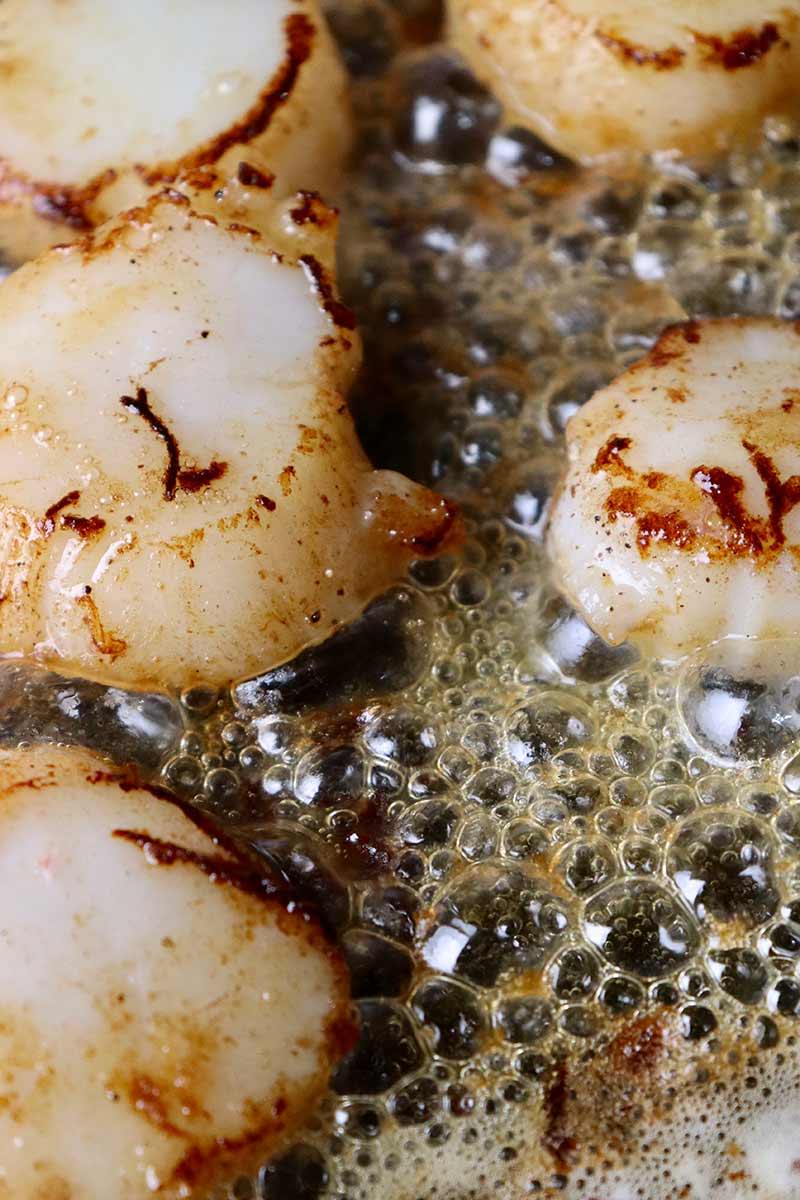 Scallop Toastie with an Apple and Fennel Sauce Recipe by Tim Bone | Minimax