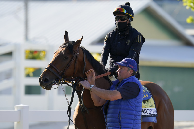 preakness stakes betting odds