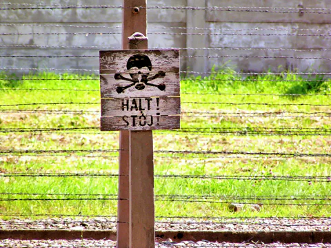 Auschwitz-Birkenau Tour with Transportation From Krakow