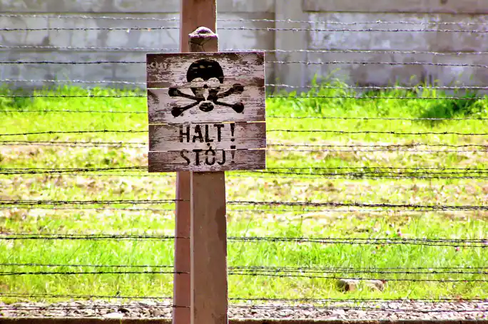 Auschwitz-Birkenau Tour with Transportation From Krakow