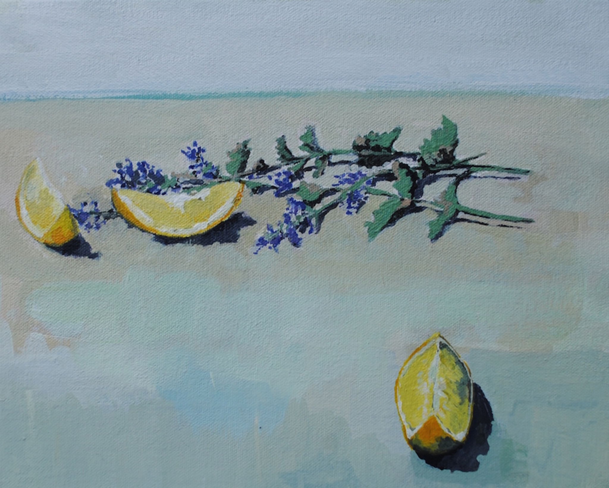 Catmint and Lemons