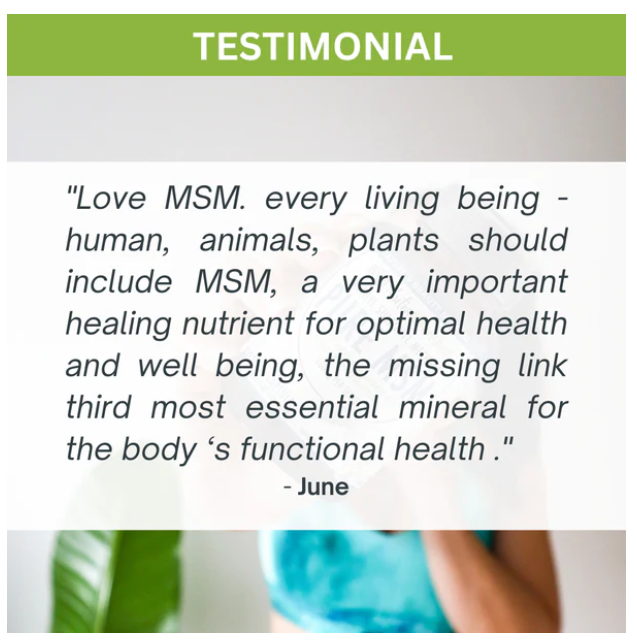 Nutra Nourished - Image 3