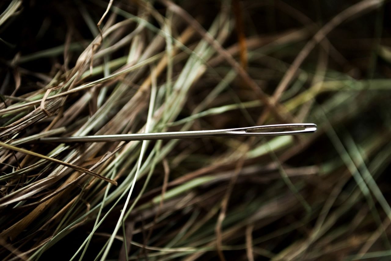 a needle in a straw haystack