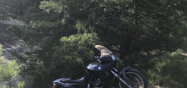 Brendan T. Byrne State Forest Run near Pemberton, NJ