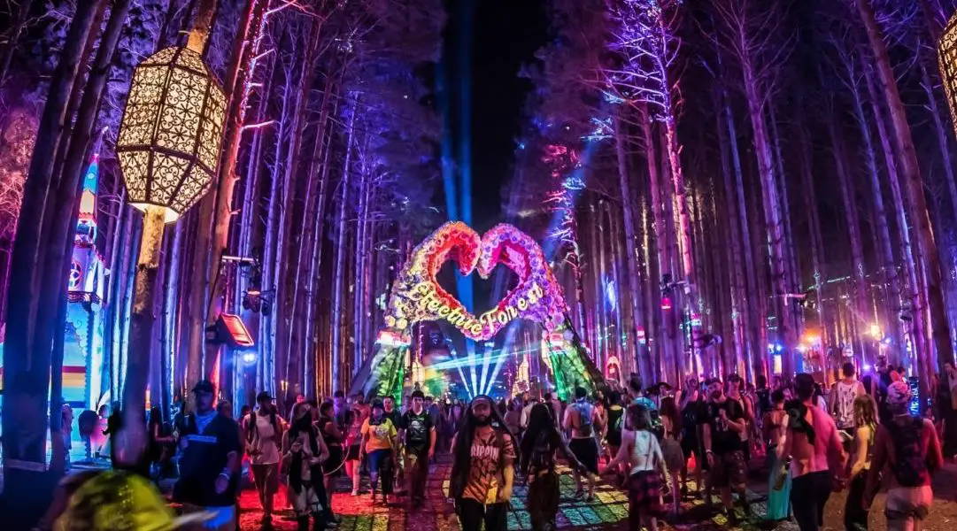 ultimate guide to electric forest