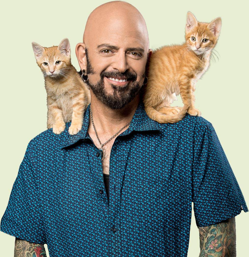 Jackson Galaxy Store