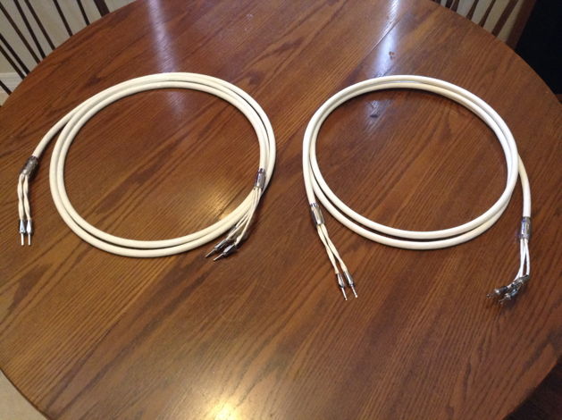 JPS Labs Superconductor V 12 foot BiWire Speaker Cables