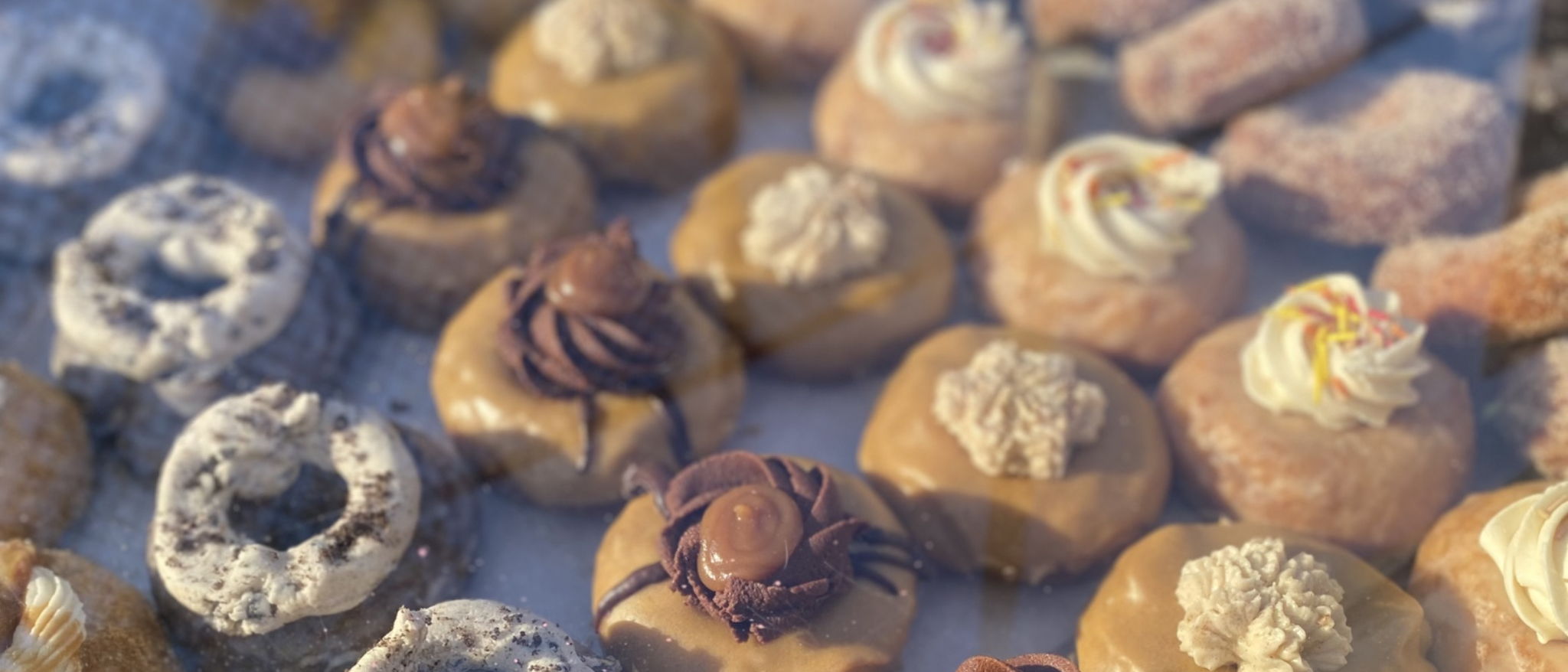 Hayley's Donut | Gluten Free | Nut Free | Dye Free — photo from hotplate.com