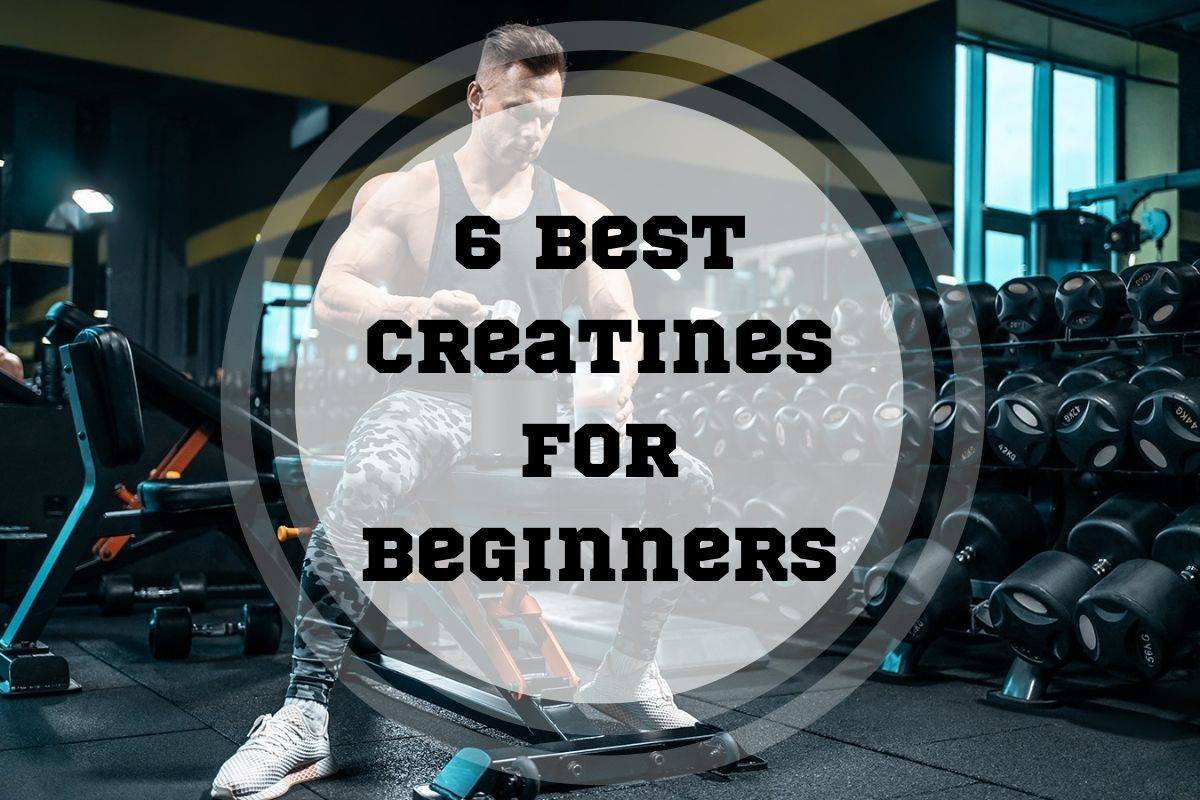 Best Creatines For Beginners
