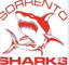 Sorrento Cricket Club  logo