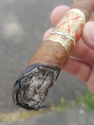 Cigar Session Photo