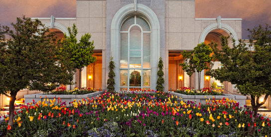 Mt Timpanogos Temple window. Colorful flowers fill the forfront of the image. 