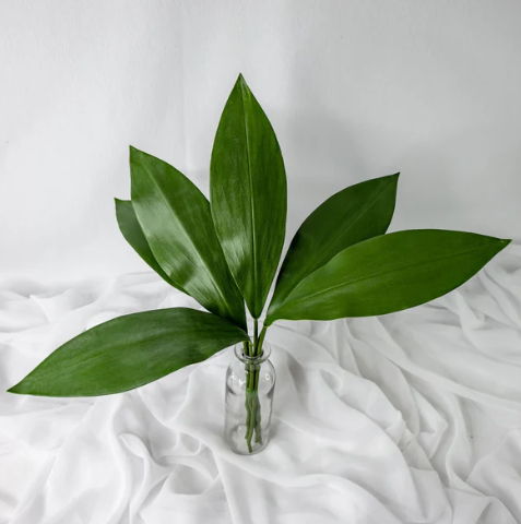 Calla Leaf ( 6 Pack ) - Realistic Artificial Flowers - Image 3
