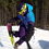 Evgenii