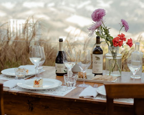 Food & Wine Tours Ripatransone: Marche Wine: Cocci Grifoni Experience