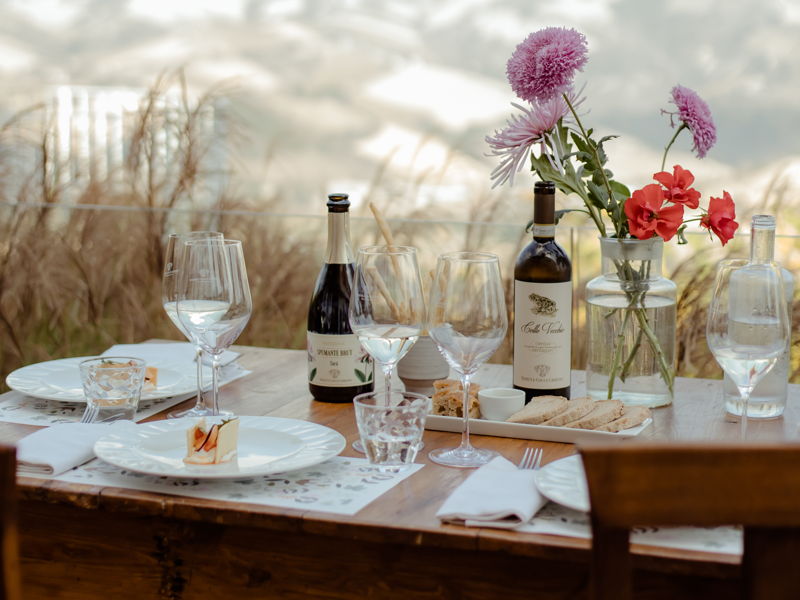 Food & Wine Tours Ripatransone: Marche Wine: Cocci Grifoni Experience