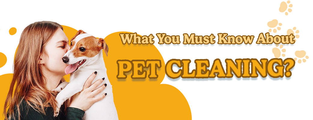 alt='pet cleaning'