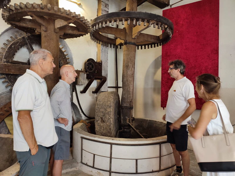 Food & Wine Tours Buti: Ancient Flavors: Tasting & Handmade Pasta Cooking Class