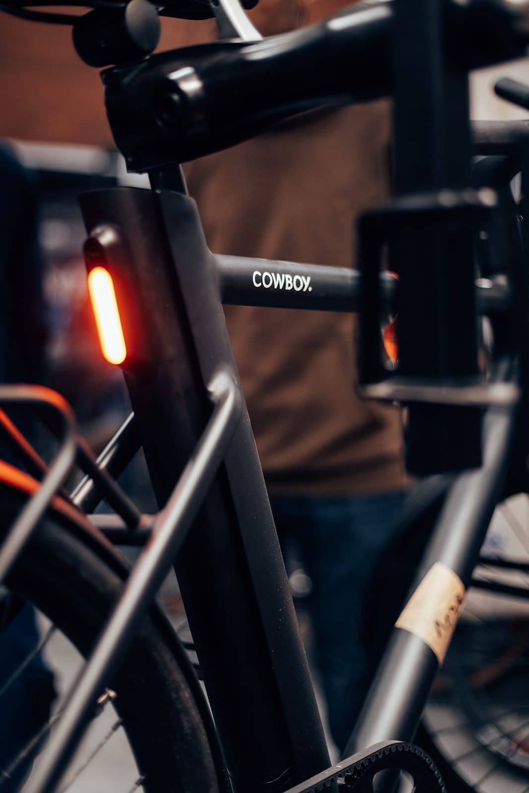 mountain bike elettrica