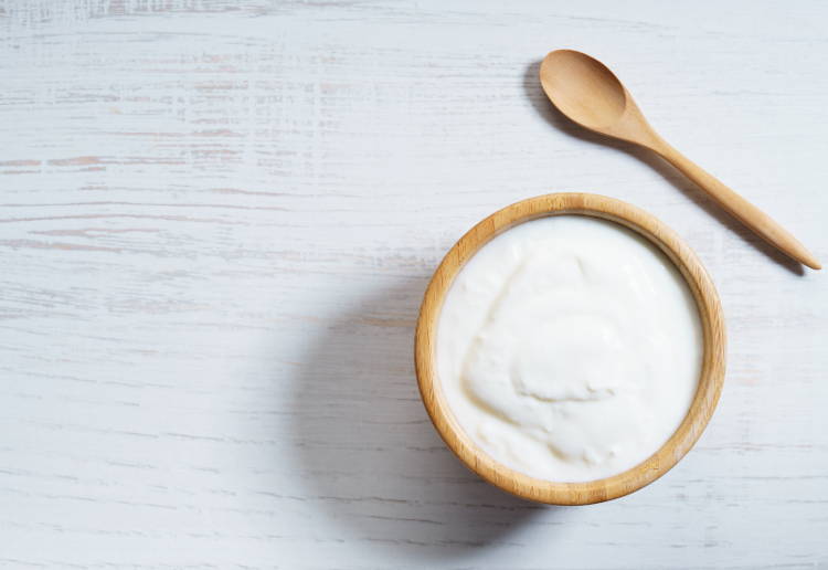 犬にヨーグルト