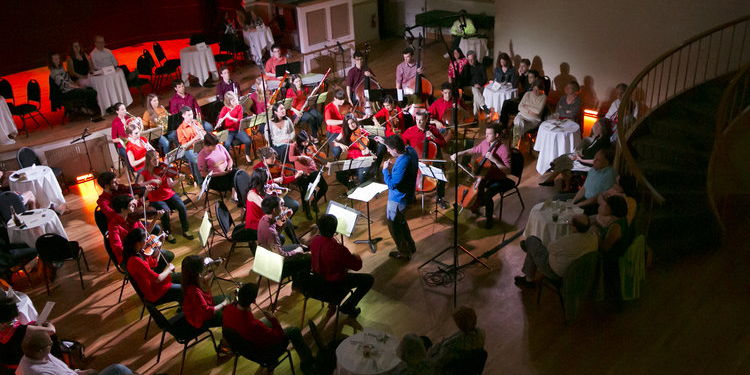 Phoenix Orchestra promotional image