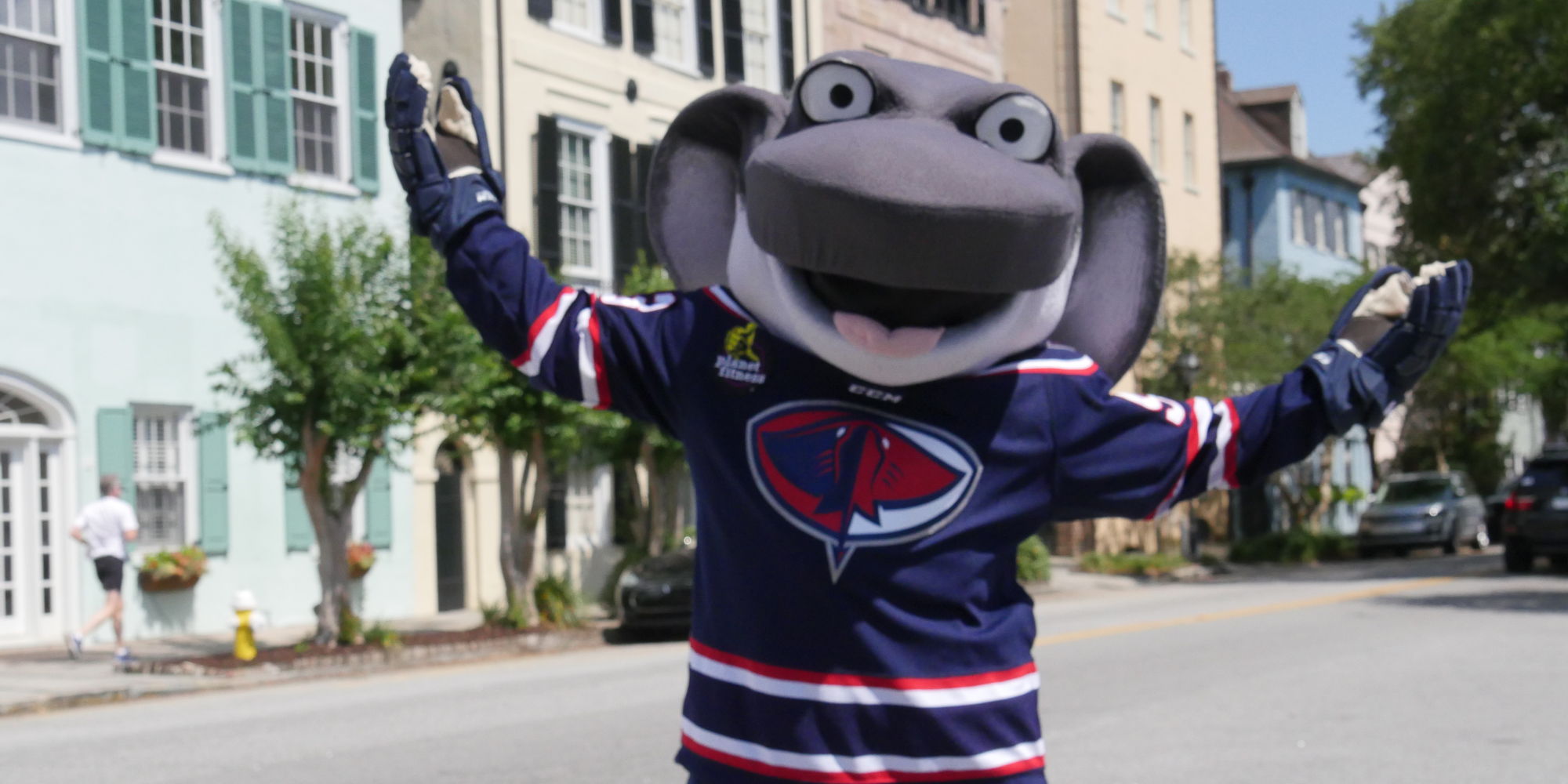 Stingrays vs Wheeling Nailers promotional image
