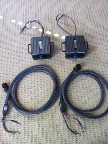 MIT Oracle V2.1 10' EW Speaker cables