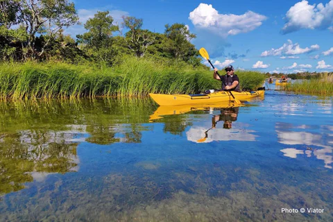From Vaxholm: Small-Group Archipelago Kayak Tour