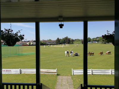 Brechin Buccaneers Cricket Club Cricket Club Logo