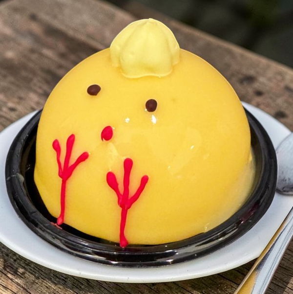 poussin-abricot-peche