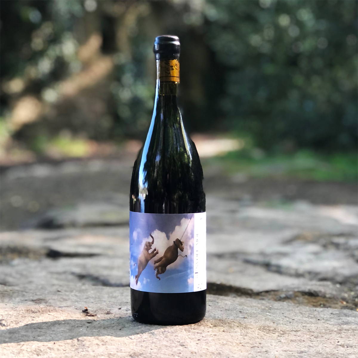 vin, roussillon, le mas de la lune, vanessa coutray, matthieu coutray, France, vin nature, rawwine, organic wine, vin bio, vin sans intrants, vin sans souffre, vin sans sulfites ajoutés, vin rouge, vin blanc, rouge, blanc, vin propre, vigneron, domaine bio, biodynamie, vigneron nature, vin biodynamique, raizin brut, Quimper, Finistère, Morbihan 