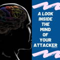 a look inside the mind of your attacker self defense article