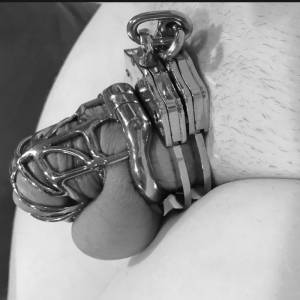 Chastity device with curved ring