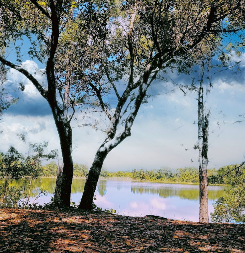 Slideshow image