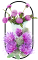 A picture of Milk Thistle
