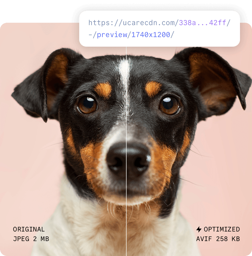 Optimize on the fly picture