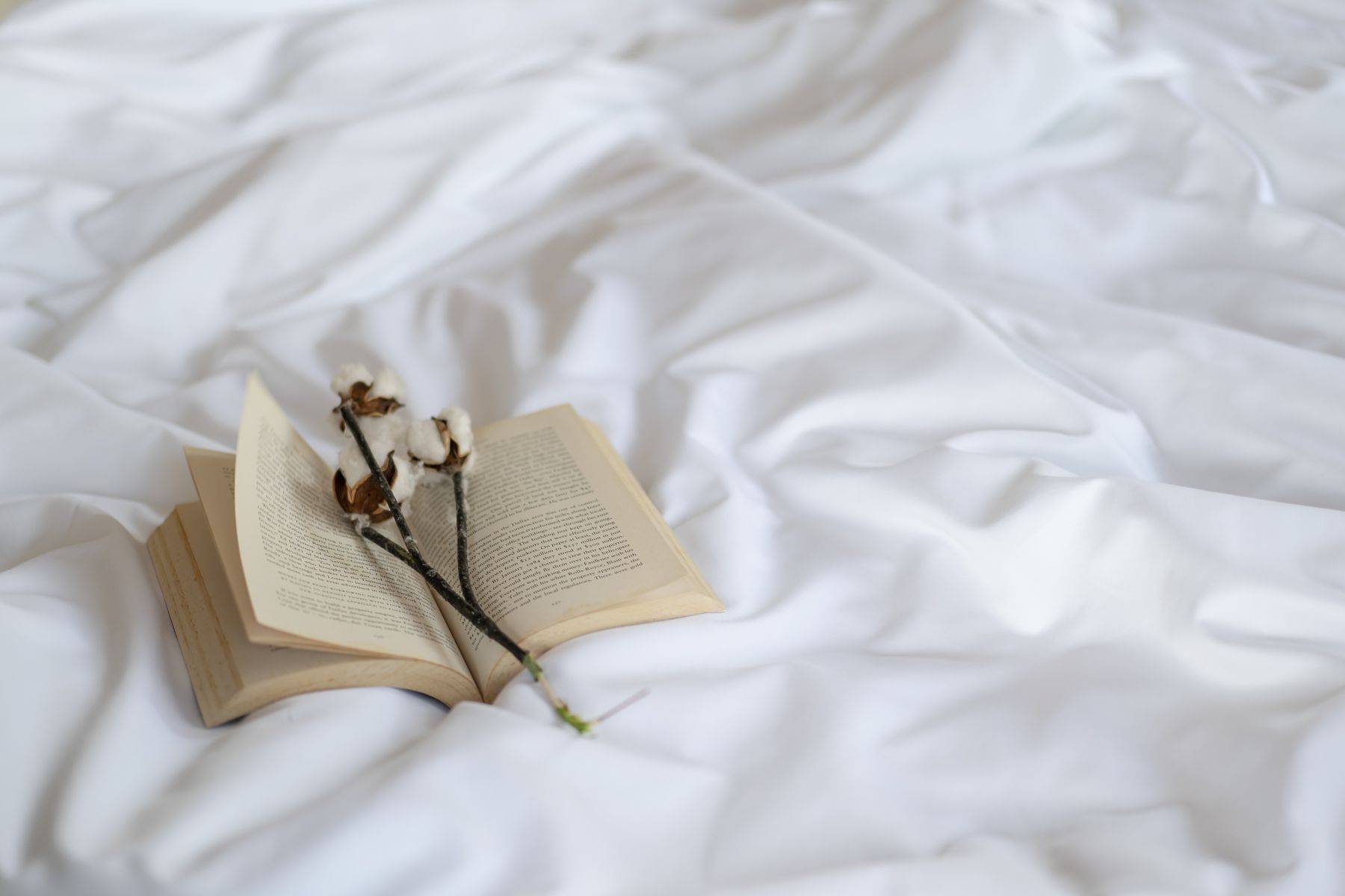 A book and cotton plant on a bed, featuring Weavve's Cotton Sheets in White