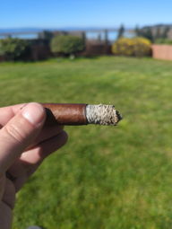 Cigar Session Photo