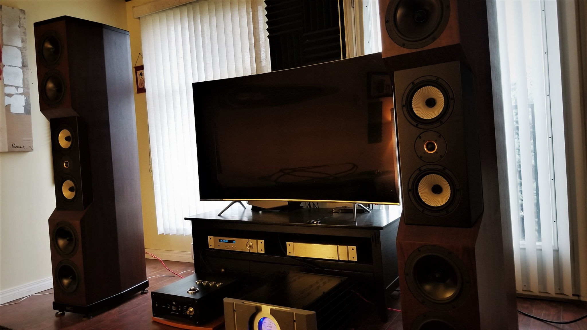 Custom Tyler Acoustics D1X