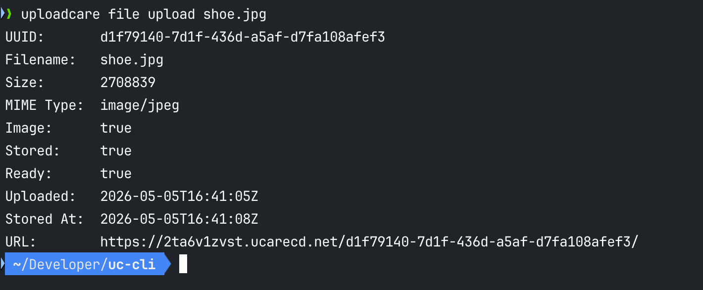 Uploadcare CLI file upload command output in the terminal