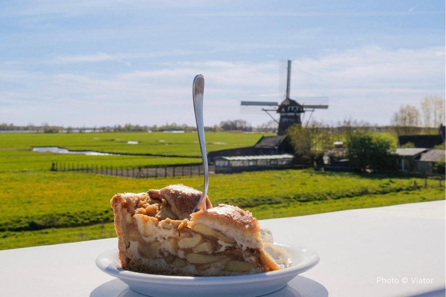 Amsterdam: Day trip to Tulip Farm, Keukenhof + Windmill Cruise - photo 3