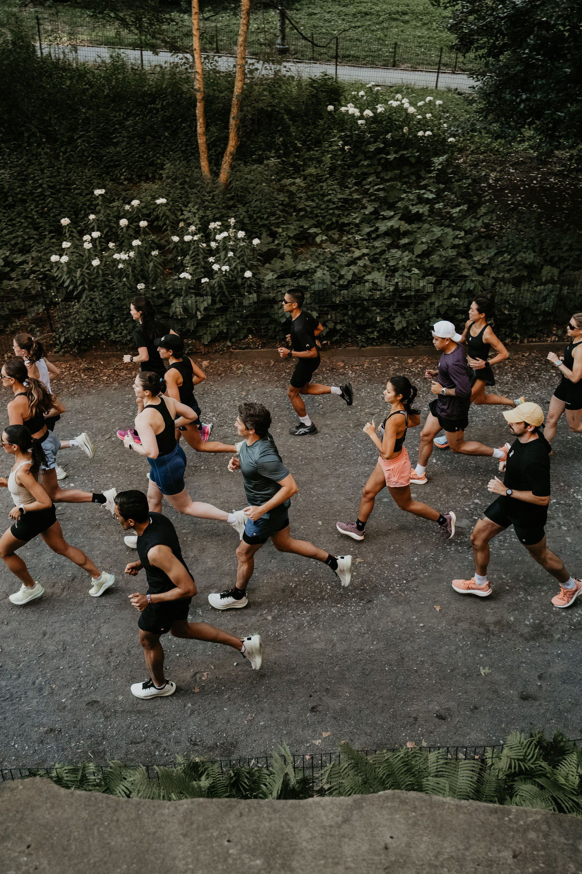 Social Run