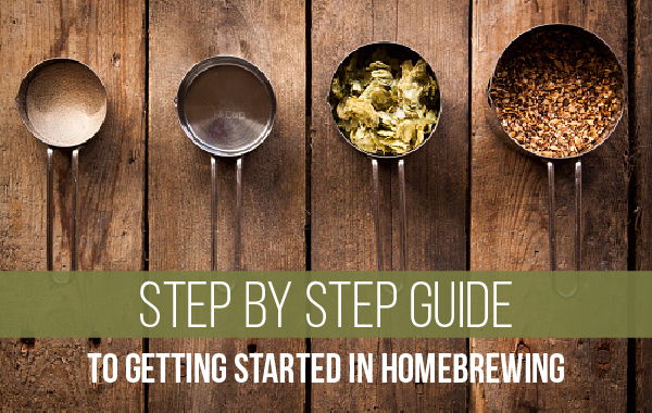 step by step guide to homebrewing