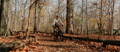 Rider on electric mountain bike on leafy trail