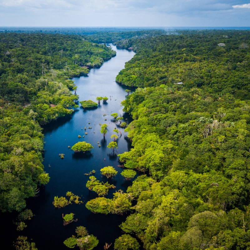 De ‘longen van onze aarde’ vormden het decor voor de klimaattop van 2025
