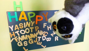 labyrinth kindermuseum happy birthday