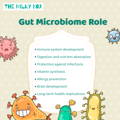 Gut Microbiome Role | The Milky Box