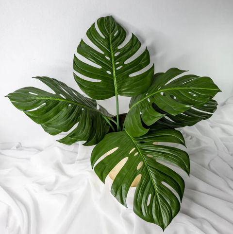 Large Monstera Leaf - Realistic Artificial Flowers and Greenery - Image 3